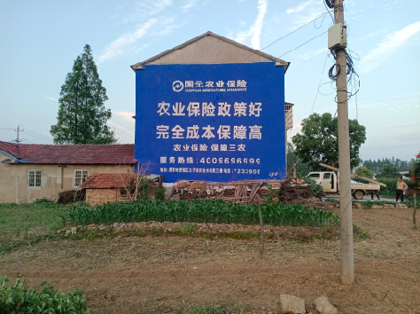 关岭墙体广告的优劣势你知道吗?